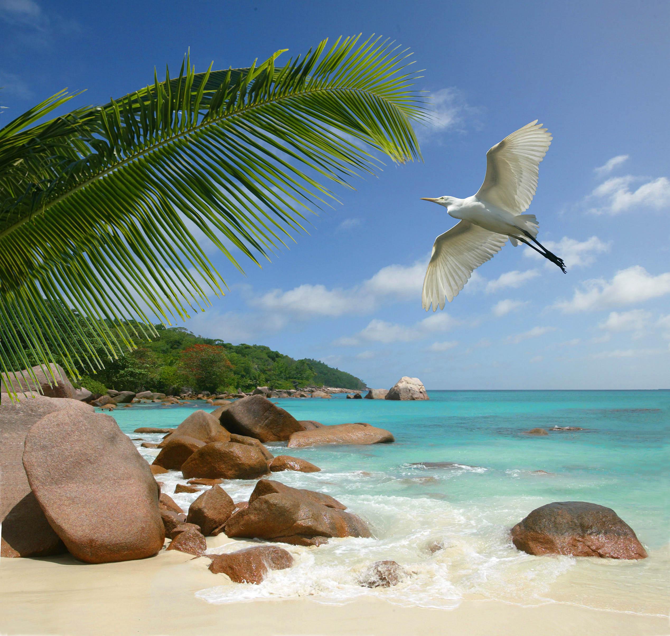 Photographie Des Seychelles Libres De Droits Stock Images Ou Banque