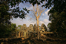 photographie Cambodge, temple d'Angkor