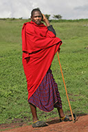photographie Kenya Tanzanie Safari