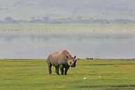 photographie Kenya Tanzanie Safari