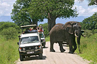 photographie Kenya Tanzanie Safari